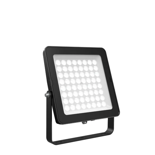 Pure Eco Floodlight 100W
