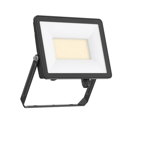 Pure Residential Floodlight 50W