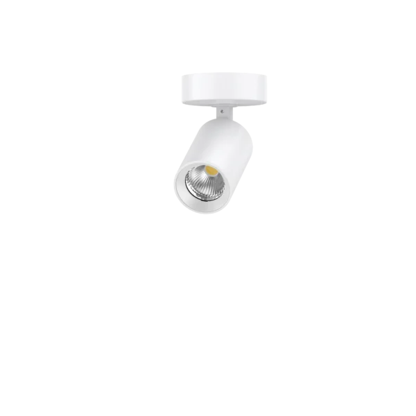 Pure Single Indoor Spot Light 6W