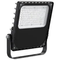 Pure Slimline Floodlight 100W