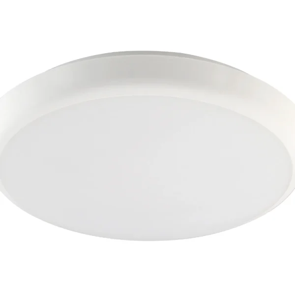 Pure Oyster Light 12W